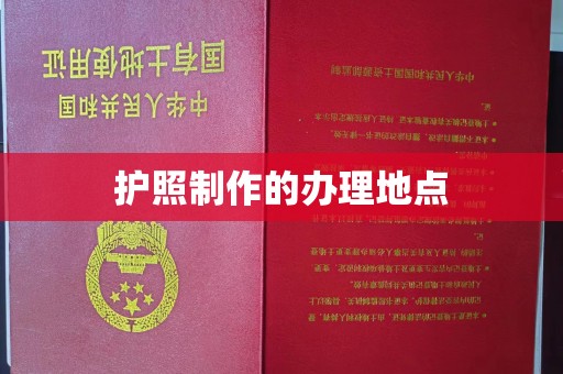 宣威护照制作的办理地点