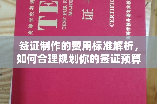 宣威签证制作的费用标准解析，如何合理规划你的签证预算