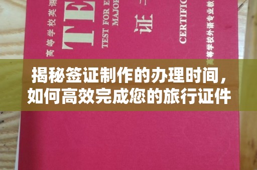 宣威揭秘签证制作的办理时间，如何高效完成您的旅行证件