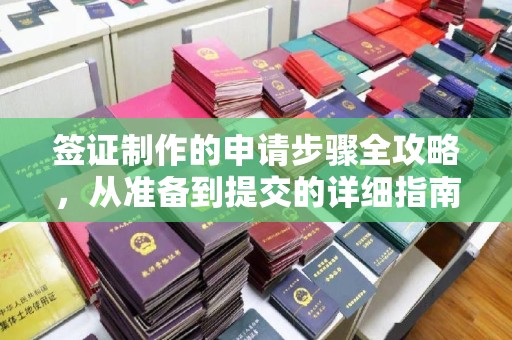 宣威签证制作的申请步骤全攻略，从准备到提交的详细指南
