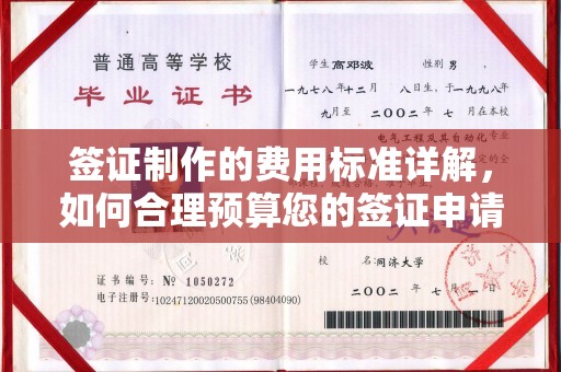 宣威签证制作的费用标准详解，如何合理预算您的签证申请成本